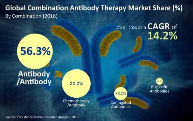 聯合抗體療法市場